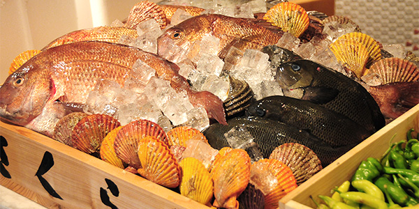 三崎漁港から、その日水揚げされたばかりの新鮮な魚介